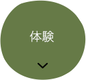 体験