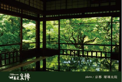 瑠璃光院の青もみじ