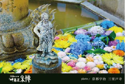 京都宇治 三室戸寺