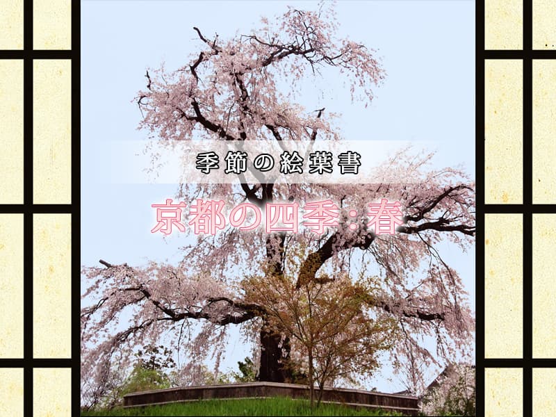 京都の美しく麗しき風情。季節の絵葉書:春