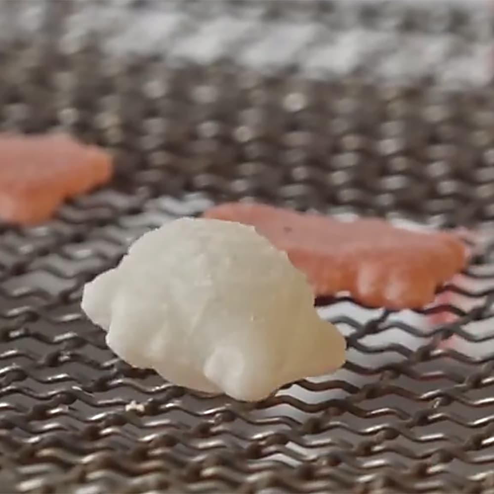 ぷくっと膨らんだ亀の形のお餅