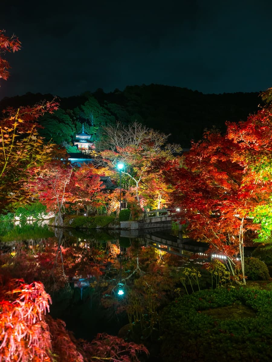 秋まっ盛り!厳選オススメ京都紅葉絶景12選のイメージ